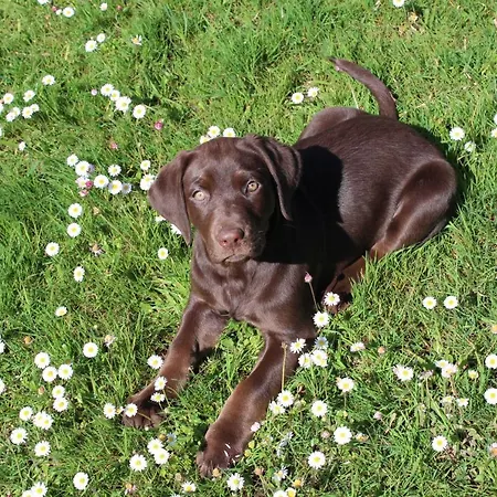 Hidalgos 아파트 산틸라나델마르