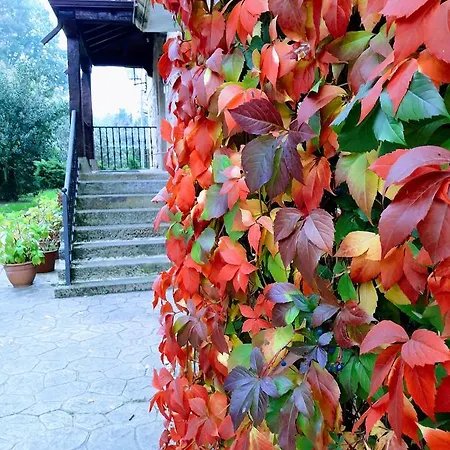 Hidalgos Santillana del Mar