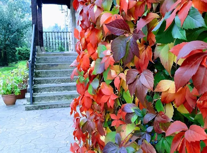 Hidalgos Santillana del Mar